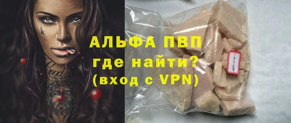 индика Абинск
