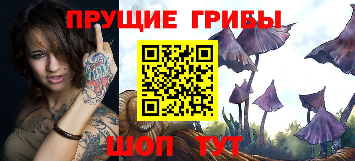 Кингисепп  Псилоцибиновые грибы ЛСД  купить  сайты  Вход с VPN 